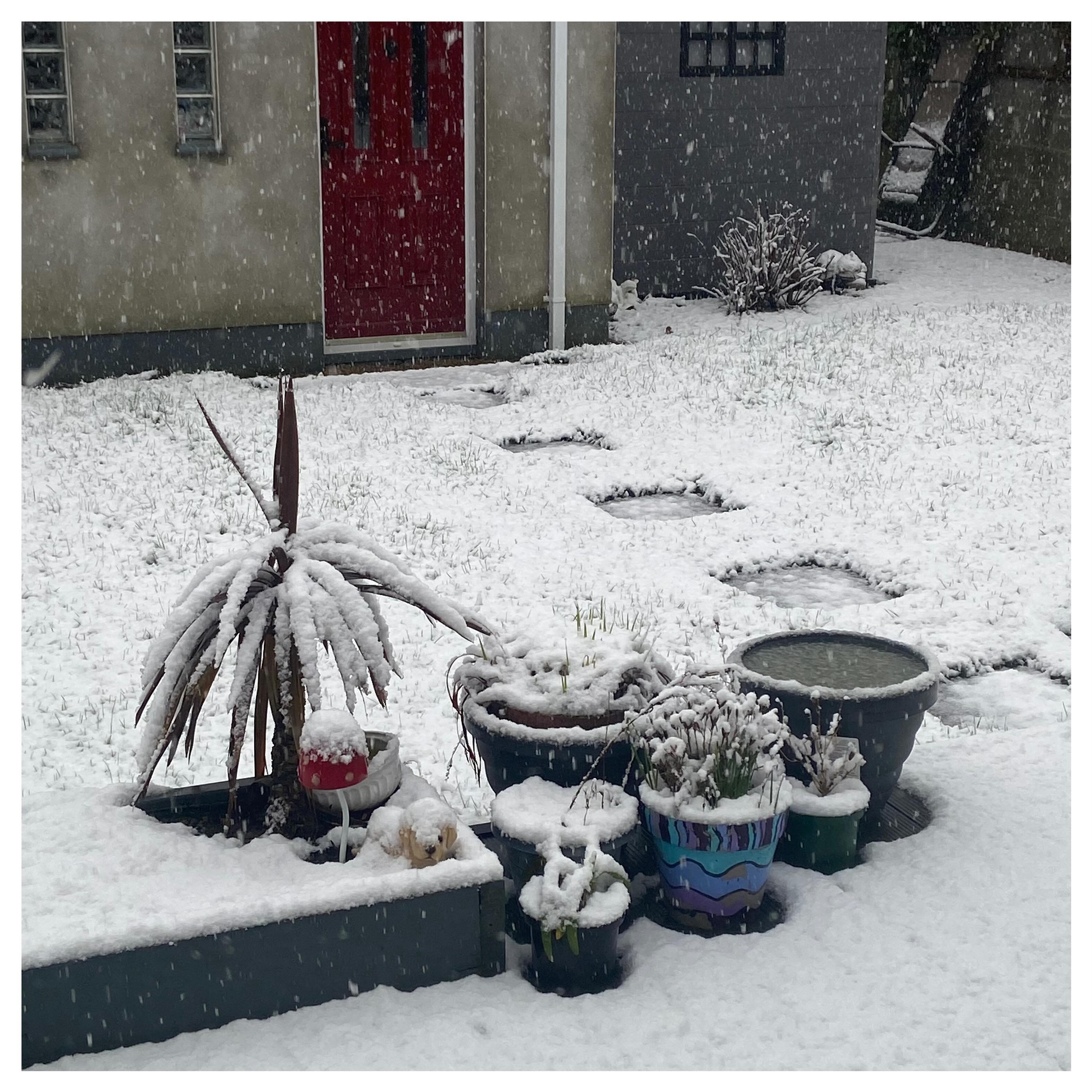 The walk to the studio might be treacherous this morning #snowday