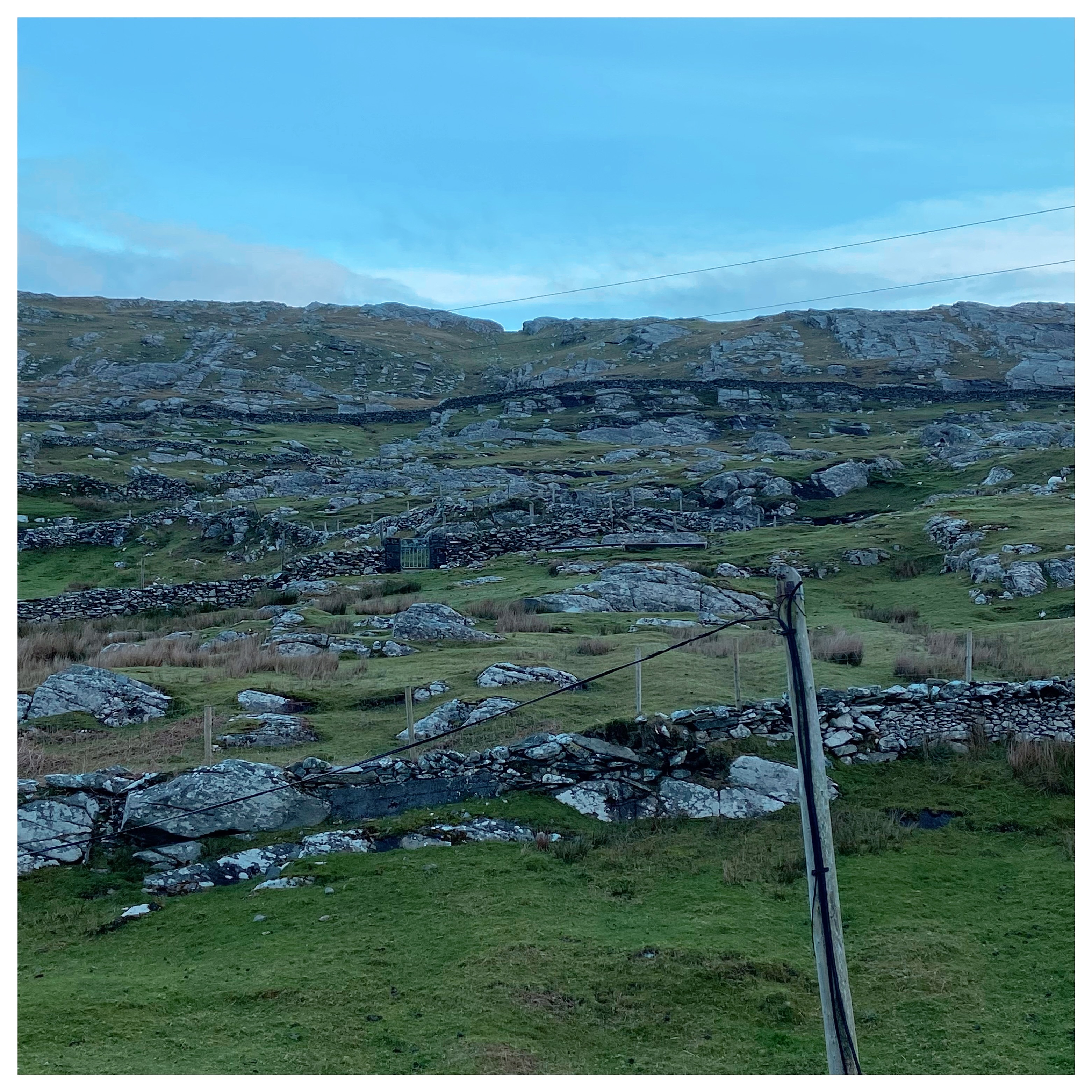 This mornings view . Good morning @inishturkisland #islandlife